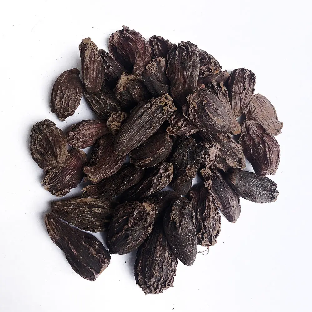 Black Cardamom (Big Elaichi)